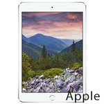 Ремонт Apple iPad mini 3 в Владимире