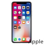 Ремонт iPhone X(10) в Владимире